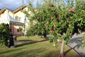APPARTAMENTO quattro - CIR 0008 Aosta
